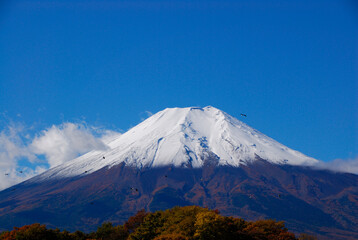 富士山