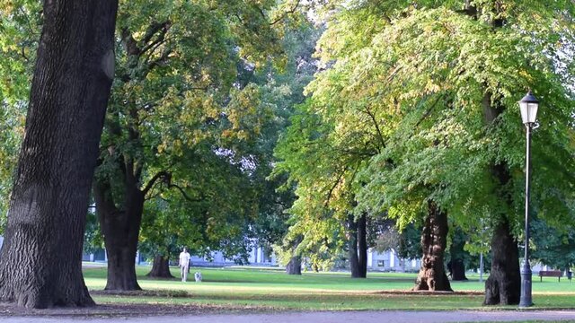 Autumn day in the park in the city. Video shot in Vasteras, Sweden