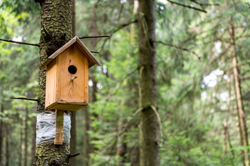 New wooden birdhouse for birds hanging on a pine tree