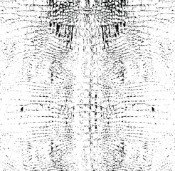 Snakeskin pattern imitation. Lines and spots structural texture. Cool and artsy faux leather background. Abstract vector illustration. Black isolated on white. EPS10