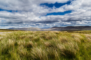 Obraz premium Cairngorms National Park, Scotland