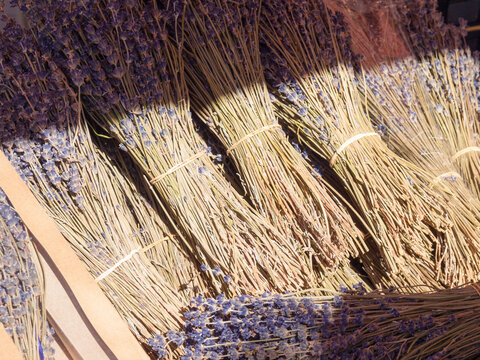 Lavender bunches at a market in Nice, Provence