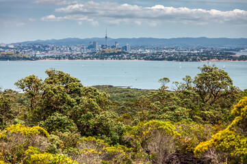 Fototapeta premium Skyline of Auckland in New Zealand