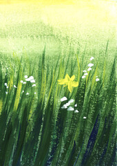 Abstract watercolor shining background. Summer landscape of green sunny meadow with white and yellow flowers and thick juicy green grass. Hand drawn illustration on textured paper