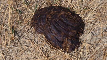 cow beak shaped floor-standing cow's beak,