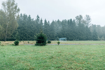 Misty fog in pine forest on mountain slopes. Color toning in vintage retro hipster style.