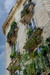 Nature on balconies