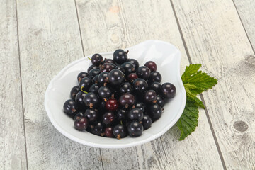 Fresh ripe sweet black currant