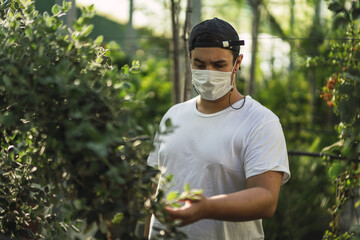 Young Caucasian male walking near green plantations with medical mask - new normal after Covid-19