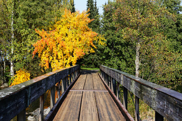 Fototapeta na wymiar Wooden footbridge leading to the island. Colorful autumn landscape.