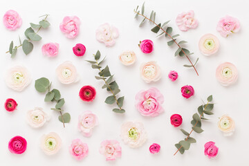 Beautiful colored ranunculus flowers on a white background.Spring greeting card.