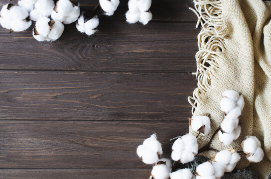 Cotton flower branch and scarf on brown wooden background. Cozy autumn concept.