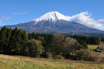 Plakat 富士山