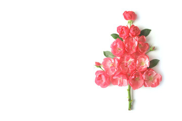 Christmas tree creative of pink roses isolated on a white background. The concept of an flowers Christmas tree and copy space.