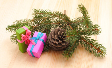 Green branches of pine with a bump.