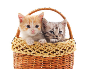 Fototapeta na wymiar Two small kittens in the basket.