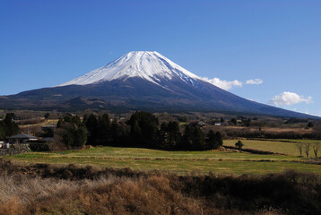 Fototapeta premium 富士山