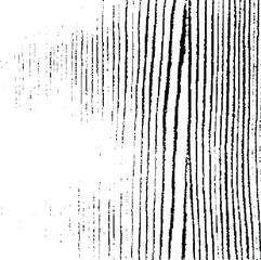 Slim lines texture. Parallel and intersecting lines abstract pattern. Abstract textured effect. Black isolated on white background.Vector illustration. EPS10.