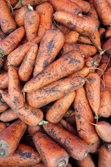 fresh carrots on the market
