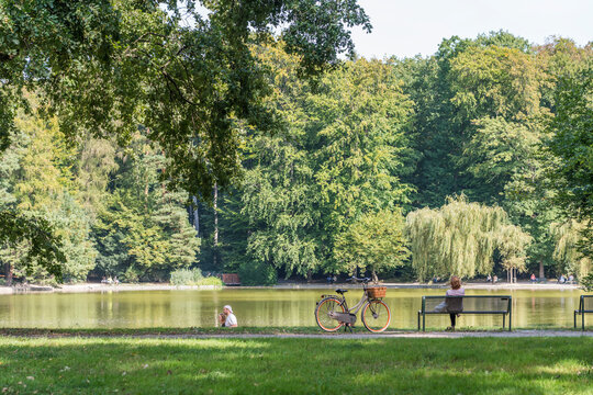 urban park in cologne city forest