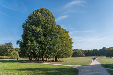 urban park in cologne city forest