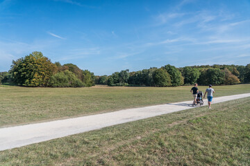 Fototapeta premium urban park in cologne city forest