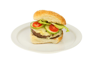 Cheese burger on a plate