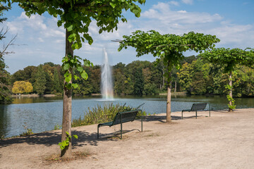 Obraz premium urban park in cologne city forest