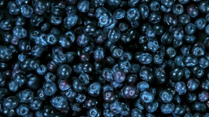 Super Slow Motion Shot of Falling Blueberries at 1000fps.
