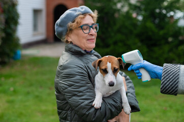 The veterinarian measures the temperature of the dog with a non-contact infrared thermometer...