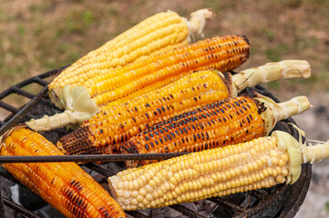 Brazilian street food. Roasted corn on the grill, very popular in northeastern Brazil.