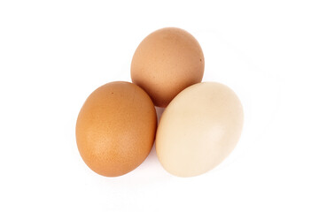 Three brown and white eggs on isolated white background. Healthy food concept.