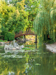 Fototapeta na wymiar Bridge in a Japanese garden