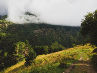 Travel over mountains and rocks. Snow, Blue Mountains and a lifelong expedition 2 