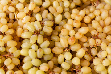 Lots of green grapes. Top view. Healthy eating and vegetarianism.