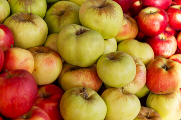 A lot of fresh juicy apples of different colors on the counter. Healthy eating and vegetarianism. Close-up.