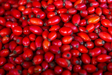 Lots of fresh juicy rose hips. Fresh autumn berry. Close-up. Top view.