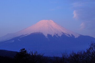 富士山