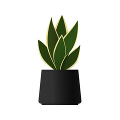 Sansevieria or snake plant in a black pot. Home or office plant. Vector stock illustration isolated on a white background.