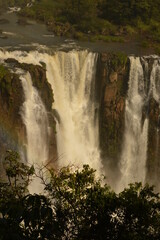 Obraz premium The powerful and mighty Iguazu (Iguacu) Waterfalls between Brazil and Argentina