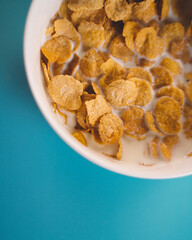 a top down view of a bowl of cereal.