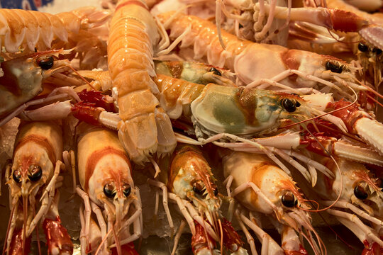 Cigalas a la venta en un mercado espa&ntilde;ol