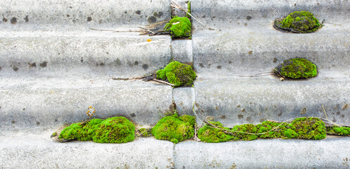 asbest or asbestos with moss and vegetation on the roof