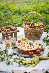 Freshly baked apple pie with stewed fruit glasses and tree branches