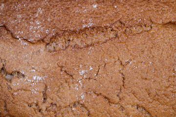 Black bread close-up. Texture on white background