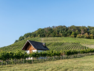 Weinbergshäuschen