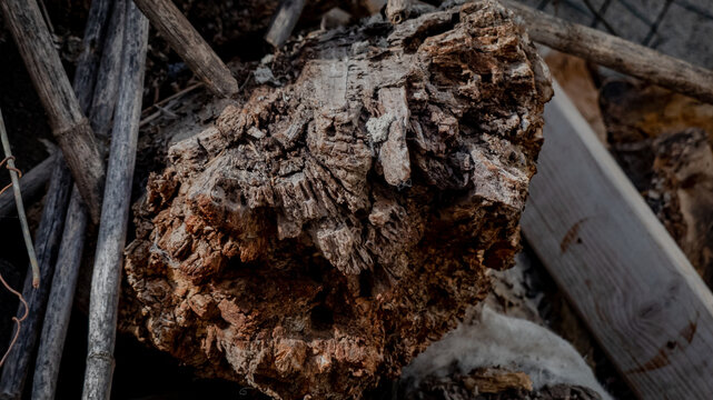 Madera podrida apilada