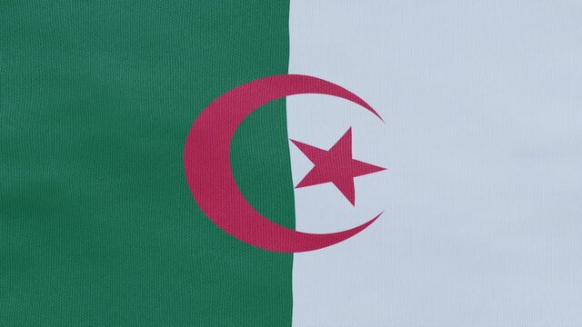 A high-quality footage of 3D Algeria flag fabric surface background looping animation