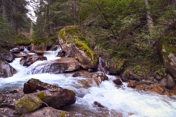 Obraz premium fiume torrente sorgente cascata canoa acqua fresca 