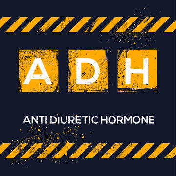 ADH mean (Antidiuretic Hormone) ,Vector illustration.